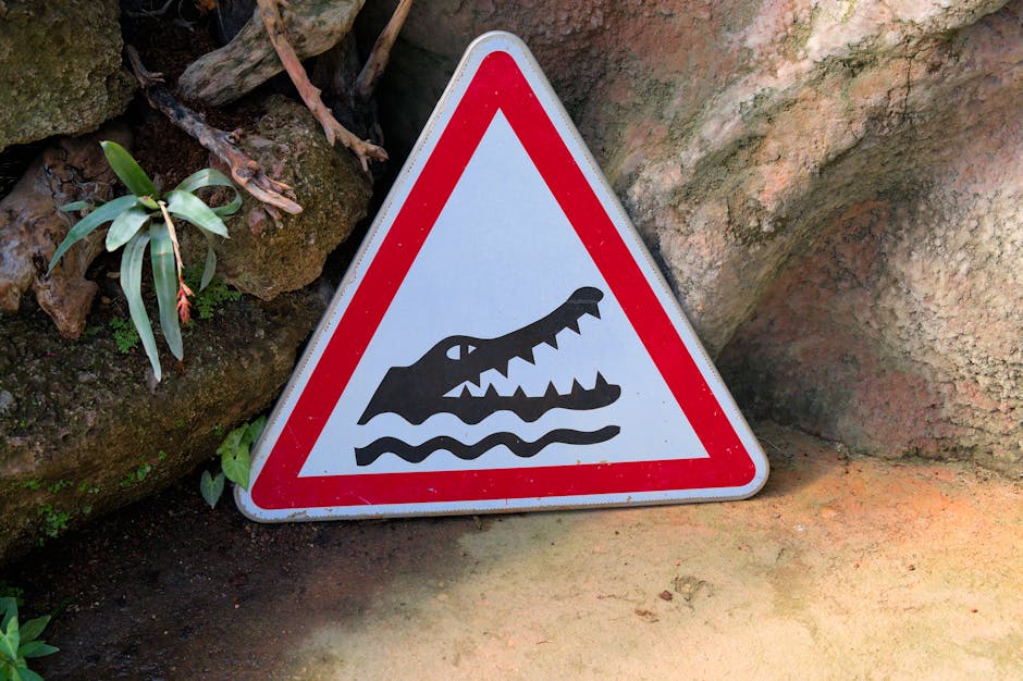 Signaux d'alerte pour choisir un consultant SEO fiable